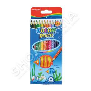 KEYROAD - BOJRA DRURI ME 12 NGJYRA ME DRU