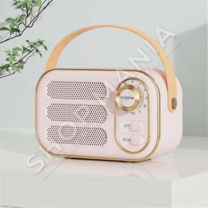 FUTUSTAR - BOKS 8W/BLUETOOTH 5.0 - DW13