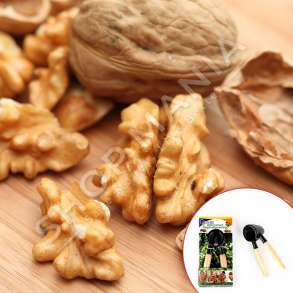 HOMESTYLE - THYERSE FRUTASH TE THATA