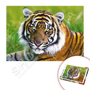 TREFL - PUZZLE ME 500 COPE ME TIGER TREFL