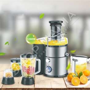 RAF - SHTRYDHESE ELEKTRIKE FRUTASH 1000W 4NE1 "JUICE EXTRACTOR" - R.2823