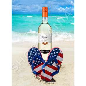 CIELO E TERRA - VERE E BARDHE "PINOT GRIGIO 2019" - 750ML, 12% VOL.