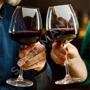 CRYSTALITE BOHEMIA - SET 6 GOTA VERE 610ML - 8593410999603