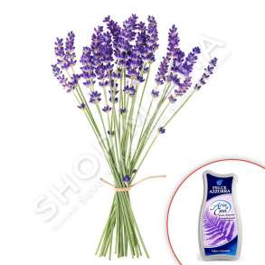 FELCE AZZURRA - AROMATIZUES AMBIENTI ME TALK DHE LIVANDO