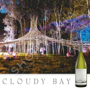 CLOUDY BAY - VERE E BARDHE "SAUVIGNON BLANC 2019" - 750ML, 13.5% VOL.