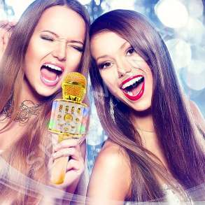 MIKROFON KARAOKE WIRELESS "WS-868L"