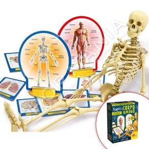 LISCIANI - SETI “I AM A GENIUS SCOPRI IL CORPO UMANO”