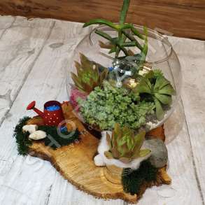 KOMPOZIM "NATURE IN GLASS" - 25X25X17CM