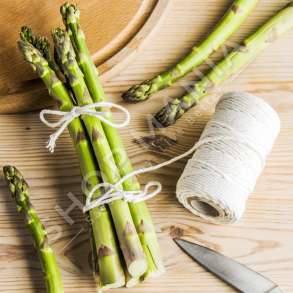 TESCOMA - FIJE PER GATIM 40M "PRESTO" - 8595028439649