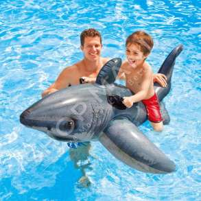 INTEX - KOMARDARE NE FORME PESHKAQENI +3VJEC "GREAT WHITE SHARK RIDE-ON INFLATABLE POOL FLOAT" - 57525