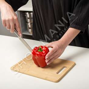 NAVA - BAZAMENT DRURI PER PRERJE "TERRESTRIAL" - 28X20X1CM