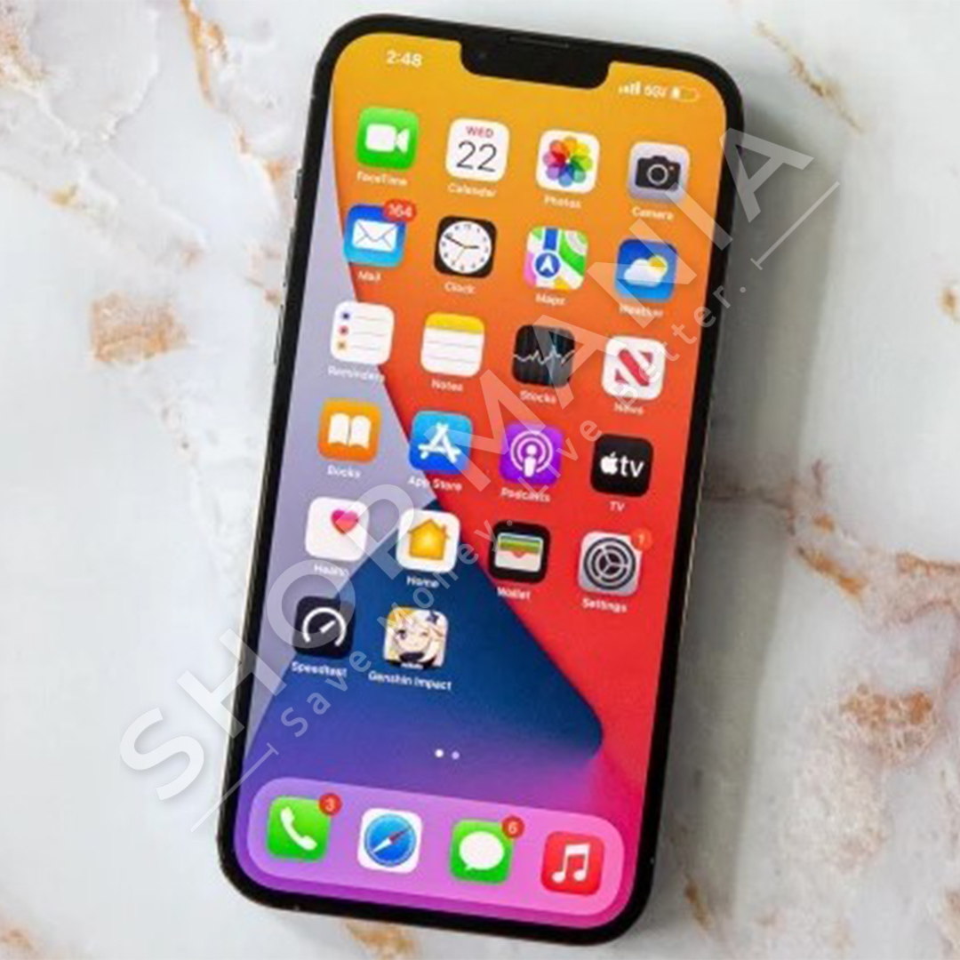 CELULAR IPHONE 13 PRO MAX (A+++) - 256GB