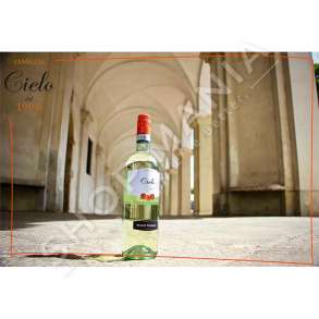 CIELO E TERRA - VERE E BARDHE "PINOT GRIGIO 2018" - 750ML, 12% VOL.