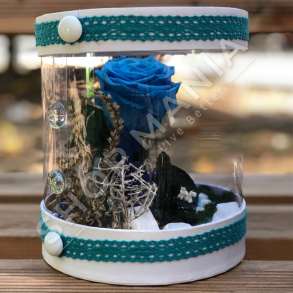 KOMPOZIM "SWANS AND BLU MAGIC" - 16X16CM