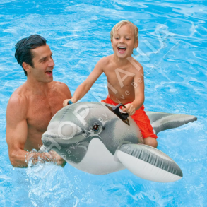 INTEX - KOMARDARE NE FORME DELFINI +3VJEC "INFLATABLE LIL DOLPHIN POOL RIDER FOR KIDS" - 58535