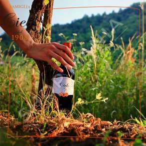 CIELO E TERRA - VERE E KUQE "CABERNET SAUVIGNON 2018" - 750ML, 12% VOL.