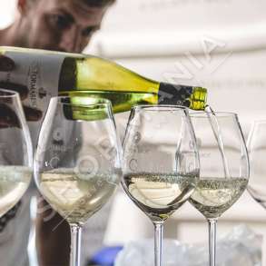 TORMARESCA - VERE E BARDHE "CHARDONNAY PUGLIA IGT 2015" - 750ML, 12.5% VOL.