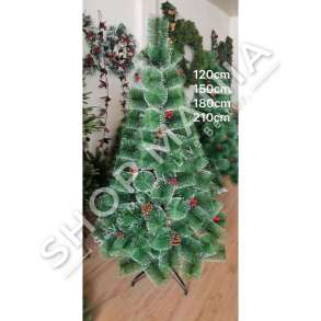 PEME VITI RI E GJELBER 210CM - CNG001-210