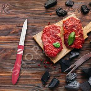 TRAMONTINA - SET THIKA TE KUQE PER KUZHINE - 11.5CM