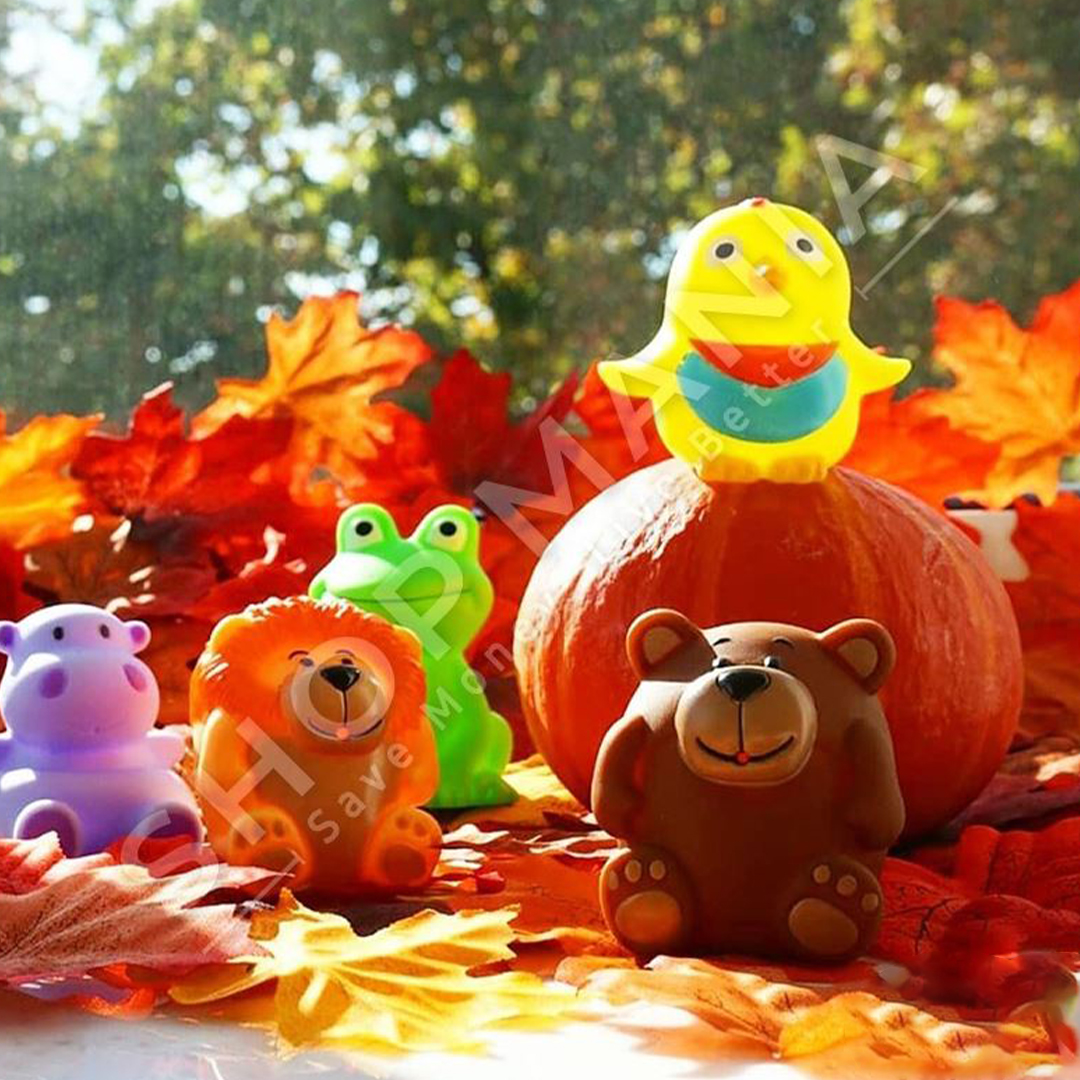 BIBI - SET LODRASH PER BANJO - 6 COPE, +0 MUAJ