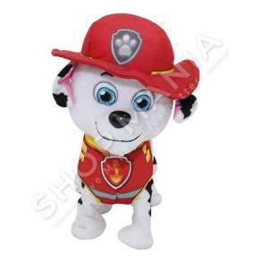 QENUSH PREJ PELLUSHI "MARSHALL"