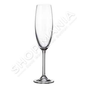 CRYSTALITE BOHEMIA - SET 6 GOTA SHAMPANJE 220ML - 8593410913562