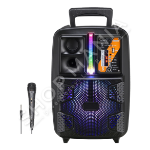 BOKS PORTATIV ME BLUETOOTH & MIKROFON 12W "PORTABLE SPEAKERS" - PK-16