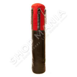 THES BOKSI "EVERLAST" - 20KG