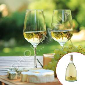 TRATTORIA ITALIANA - VERE E BARDHE  "CHARDONNY IGT TREVENEZIE" - 750ML, 12% VOL.