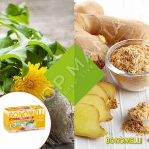 BONOMELLI - CAJ XHINXHERI & CURCUME - 16 x 32G