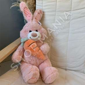 LEPUR ME KAROTE PREJ PELLUSHI