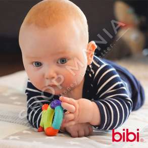 BIBI - STIMULUES PER DHEMBET "STADI 2" +6 MUAJ