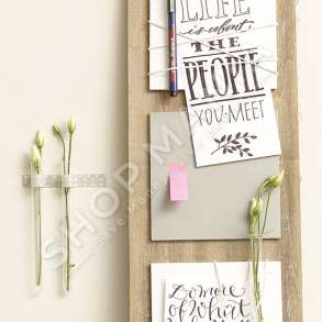 EDDING E-1800, MAJA 0.5 - NGJYRA TE NDRYSHME